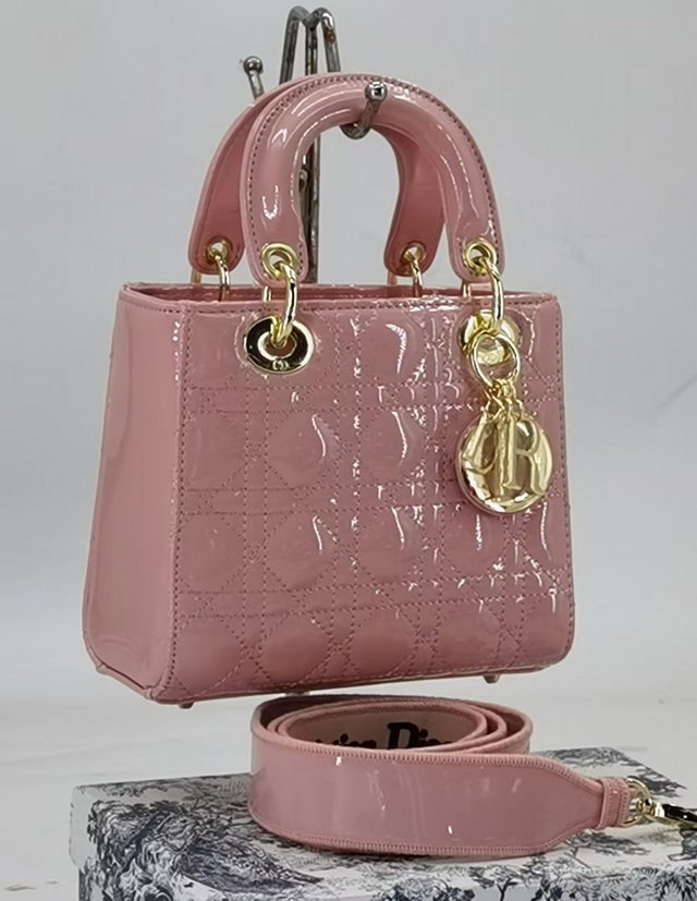 DlOR Handbags 011